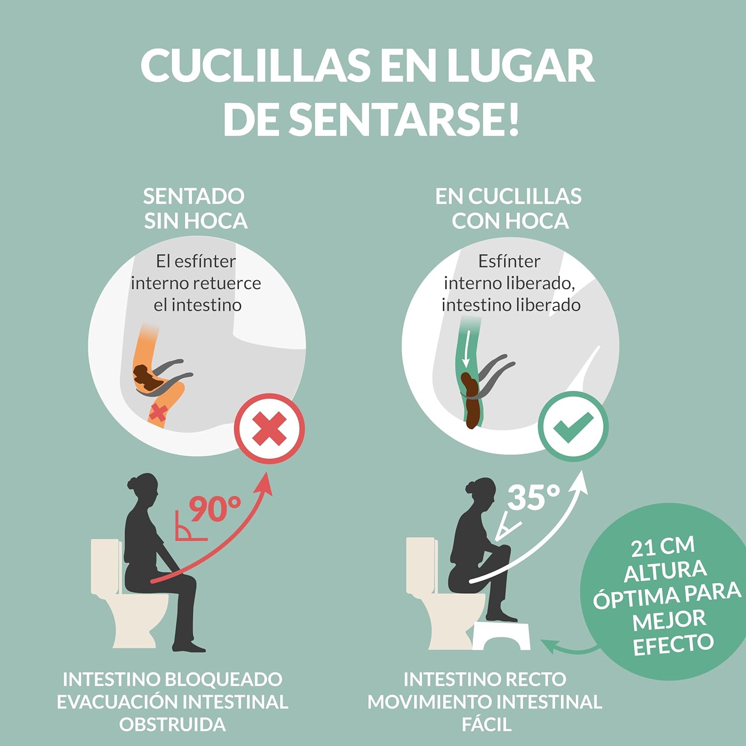 Well Care Banco Fisiológico vista superior